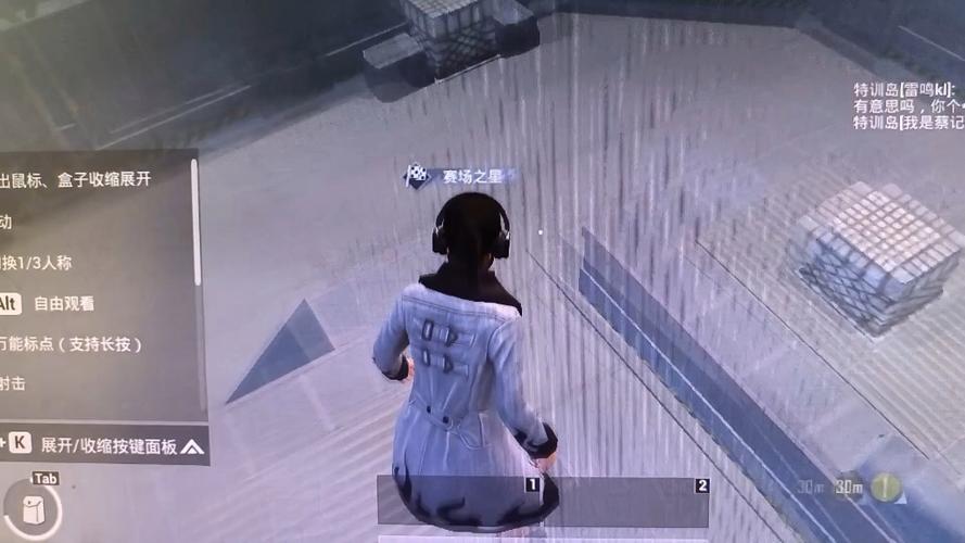 和平精英辅助免费苹果版本（和平精英辅助如何影响游戏的公平性？）